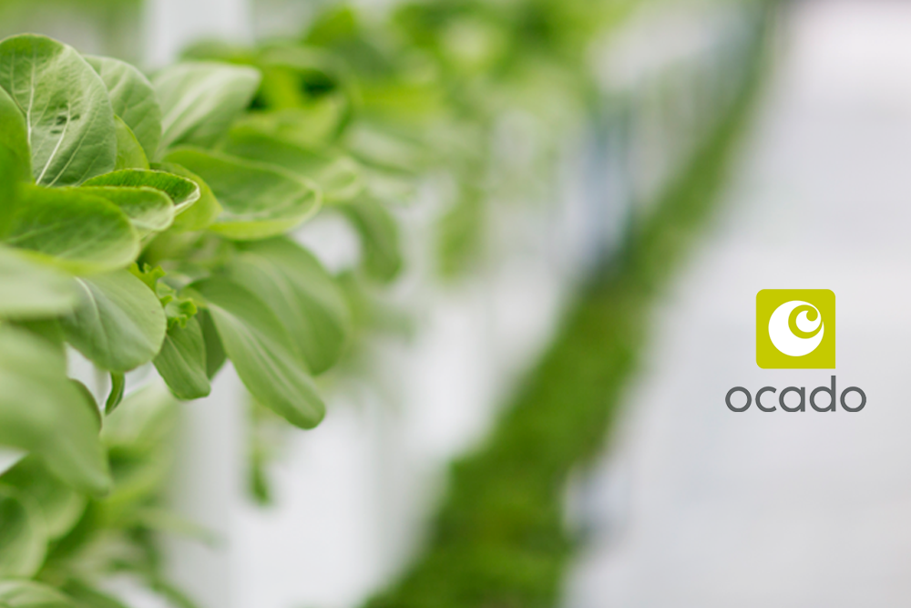 Ocado and Infinite Acres Complete Deal for Partnership in Global Indoor Farming Venture