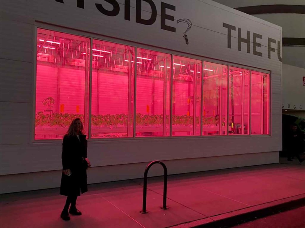 Watch how we built a farm on 5th Ave in New York City